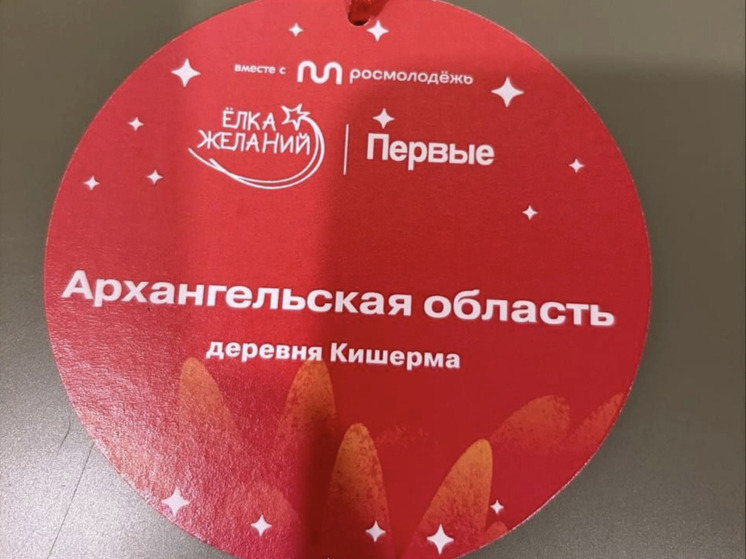 Губернатор Поморья исполнит ещё три желания с «Ёлки желаний»