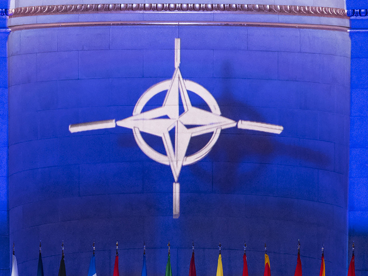 Профессор Жданов расценил  дефицит «пушечного мяса» для НАТО