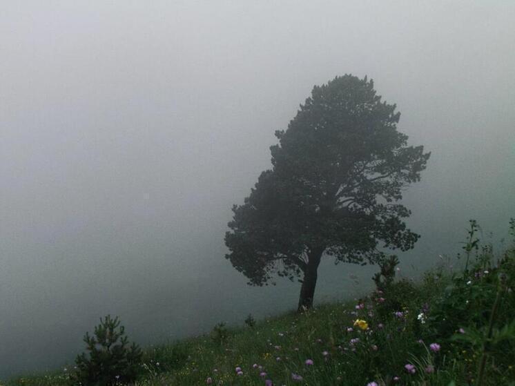 Метеорологи опубликовали штормовое предупреждение на период с 27 по 31 декабря в Сочи и ФТ Сириус