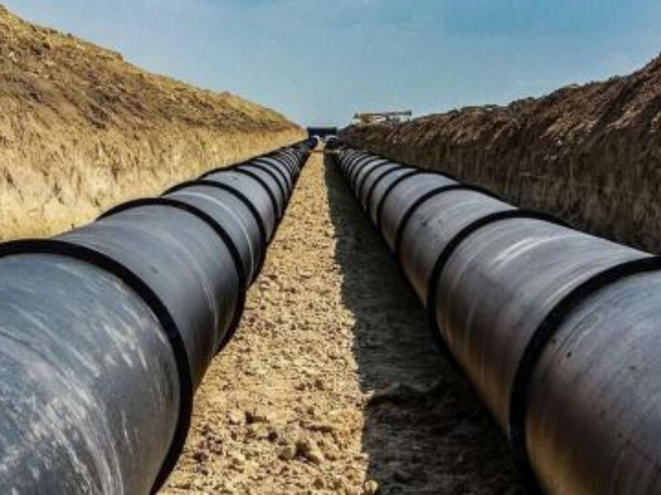 В Ростовской области подрядчика не включат в РНП из-за нарушений условий госконтракта