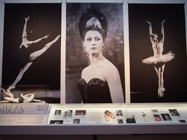 Туляков пригласили в Фонд искусств на выставку к столетию Майи Плисецкой