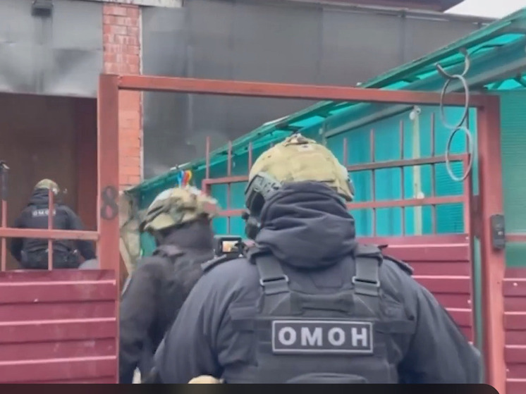 В Ярославской области выявили подпольное производство фальшивых документов