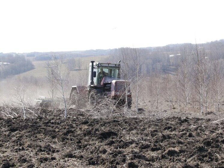 Кузбасс освоил новые сельхозземли и готовит их для фермеров и туризма