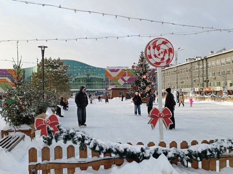 Морозы ударят по Алтайскому краю на последних декабрьских выходных