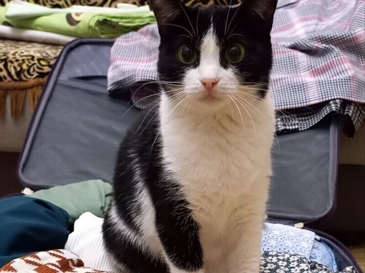 Алтайский край вошел в топ-3 направлений для путешествий с животными