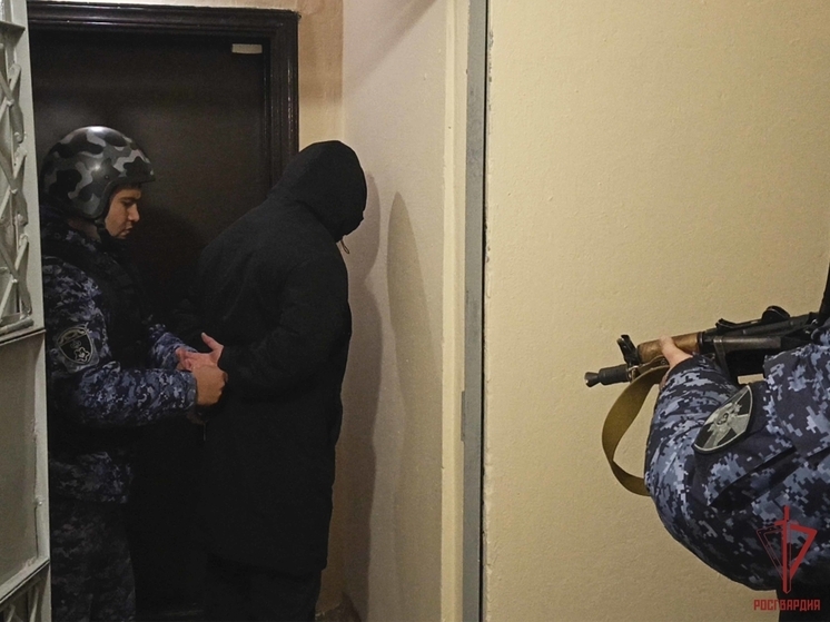 Тульские росгвардейцы задержали «грабителя», пытавшегося «обворовать» квартиру