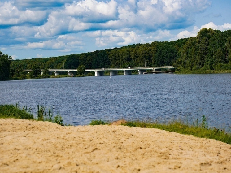 Тендер на ремонт моста на трассе «Тула-Белев» на 0,3 млрд взяла фирма из Смоленска