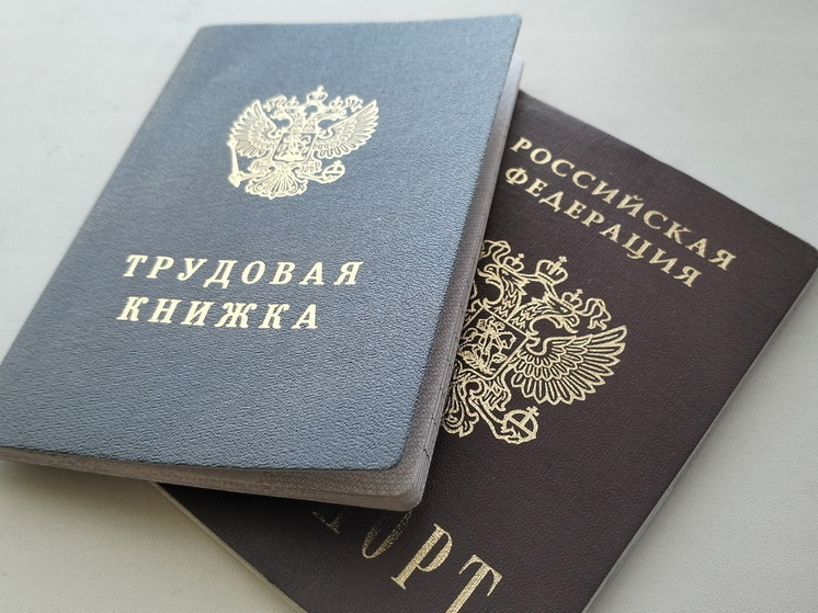 Осенью 2025 года компании, работающие с маркетплейсами, активно увеличивали штаты перед зимним сезоном