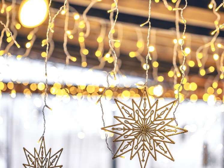 Жителям Самары рассказали, как безопасно выбирать новогодние гирлянды