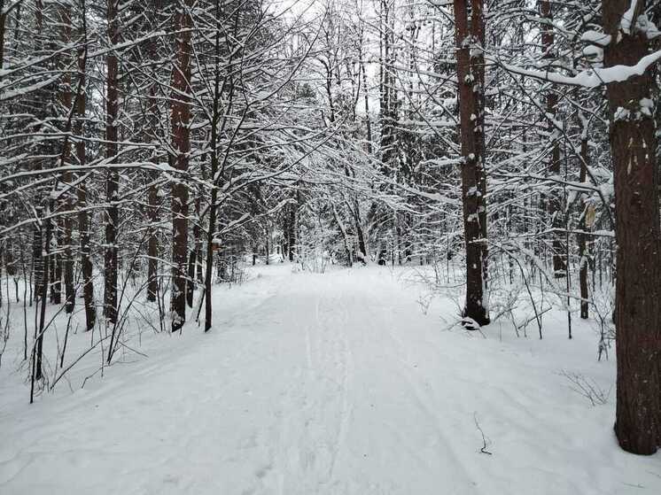 Морозы в Перми отступили