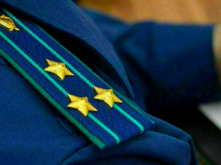 В Липецке осудили организатора мегасхемы по хищению миллиардов