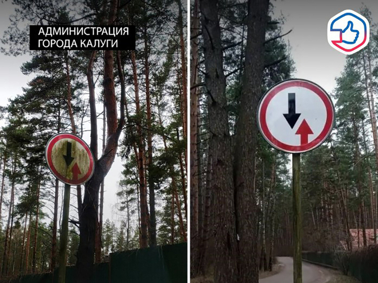 В Калуге помыли дорожные знаки благодаря обращению