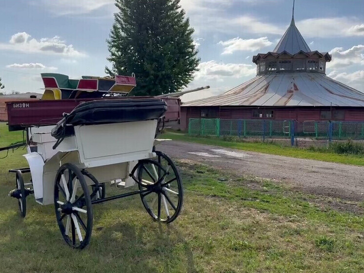 Инвестор приступил к восстановлению ипподрома Деркульского конного завода в ЛНР