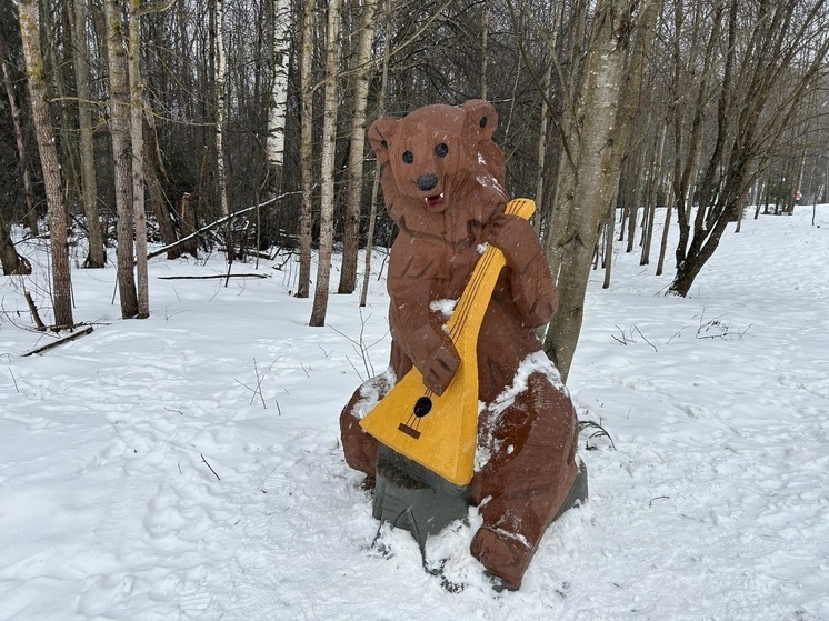 Умеренно-морозная погода и снегопад ожидаются на Вологодчине в выходные