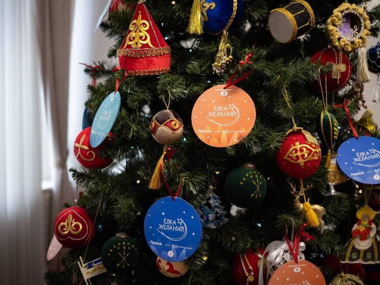 Глава Республики Адыгея исполнит мечту мальчика из Херсонской области