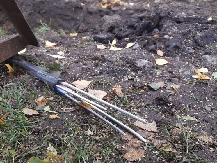 Жителей Кировска осудили за попытку кражи кабеля