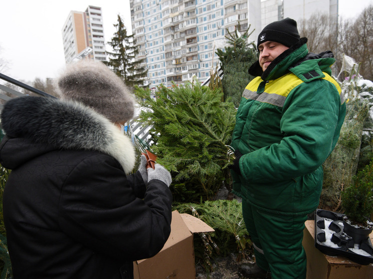 Сколько стоит новогодняя ёлка в Серпухове в декабре 2025 года: обзор цен и базаров