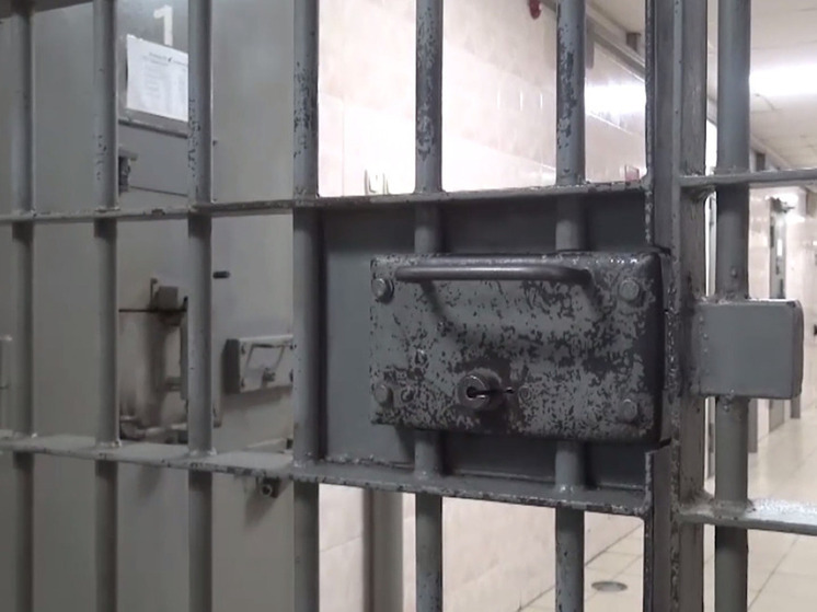 Жителя Нью-Йорка задержали по обвинению в изнасиловании и грабеже несовершеннолетнего