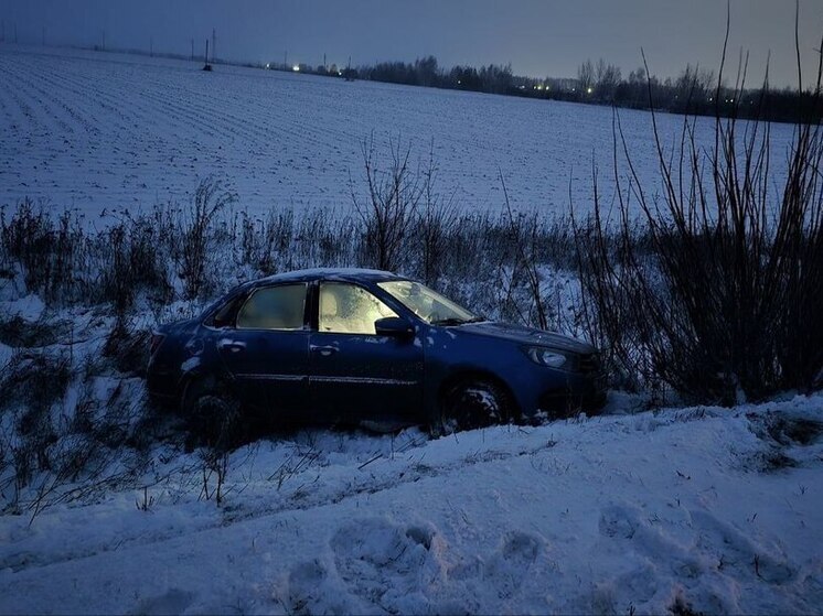 В Пронском районе легковушка улетела в кювет