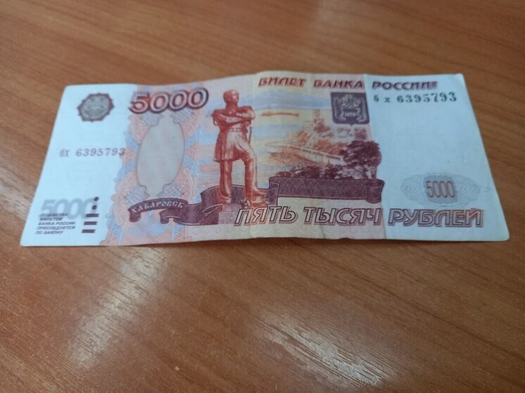 В Саратове директор фирмы задолжал по налогам более 22 млн рублей