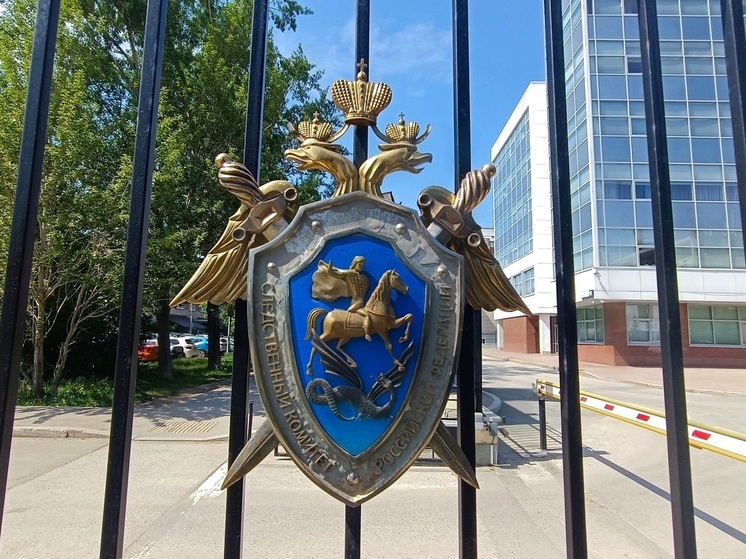 Тысячи поддельных документов нашли у преступного синдиката в Свердловской области