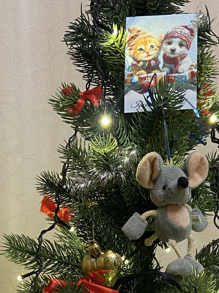 Илона Щипенко поздравила запорожских малышей из детского сада «Солнышко» с Новым годом