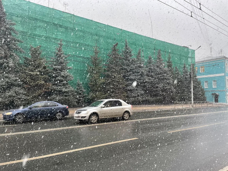 В субботу в Рязанской области ожидаются мокрый мнег и гололед