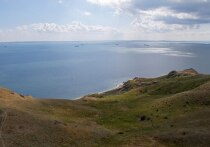 Полозья от саней из костей лошади обнаружили археологи на Тамани