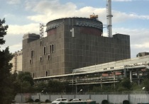 Президент РФ Владимир Путин в ходе закрытой встречи с крупным бизнесом поднял тему переговоров по Запорожской атомной электростанции (ЗАЭС), подтвердив интерес США к экономическим проектам на ее базе. Доктор политических наук, первый министр госбезопасности ДНР и обозреватель телеканала «Царьград» Андрей Пинчук объяснил, что это значит.