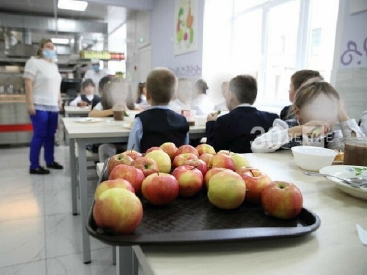 С начала нового года вырастут цены на питание в школах Казани