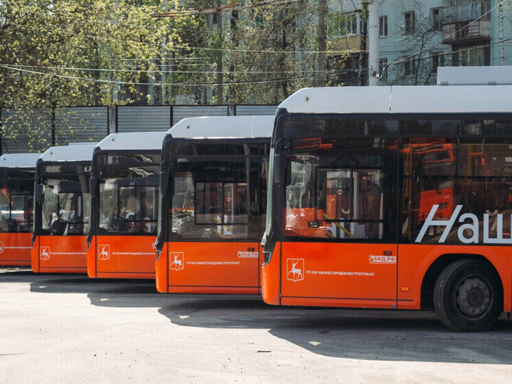 Определён график работы транспорта в Нижнем в новогоднюю ночь