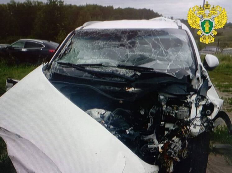 В Спасске осуждён иностранец, по вине которого погибла супружеская пара