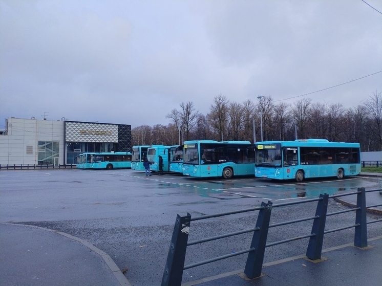 Врио председателя Комитета по транспорту Петербурга назначен Ваньчков