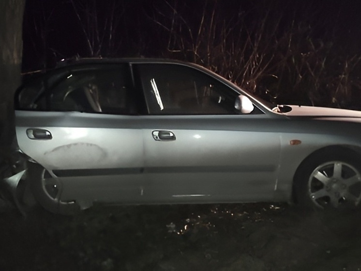 В Красноармейском районе иномарка «вылетела» в кювет и врезалась в дерево