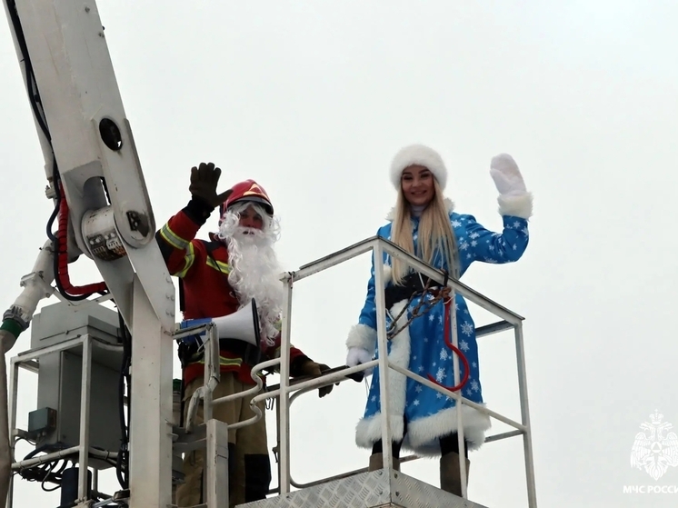 Сотрудники МЧС подарили юным пациентам областной больницы в Вологде волшебство за окном