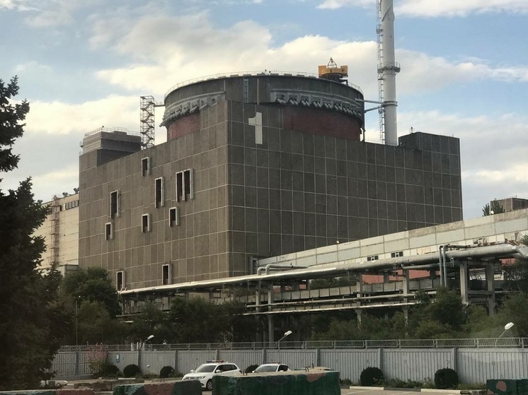 Эксперт Пинчук назвал ЗАЭС ключевым предметом торга в перемирии