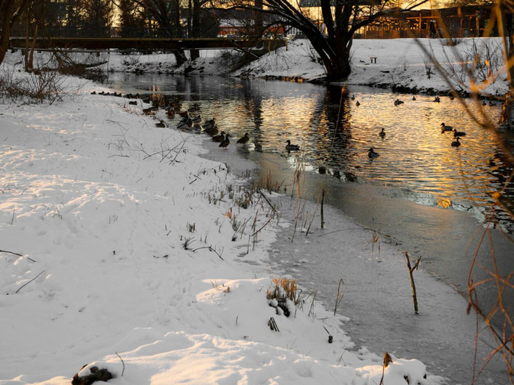 В Липецкой области пять человек погибли на водоемах за месяц