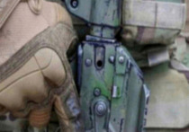 Российские подразделения группировки "Центр" уничтожают окруженную группировку вооруженных сил Украины в Димитрове (украинское название – Мирноград), зачищают разрозненные формирования врага в районах населенных пунктов Родинское и Гришино в ДНР, сообщило Минобороны России