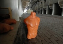 «Живые ноги» манекена для испытаний автомобильных систем безопасности разработали в Нижегородском государственном техническом университете