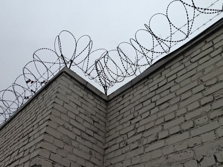 Банда петербуржцев избила прохожих перед концертом из-за разбитой бутылки