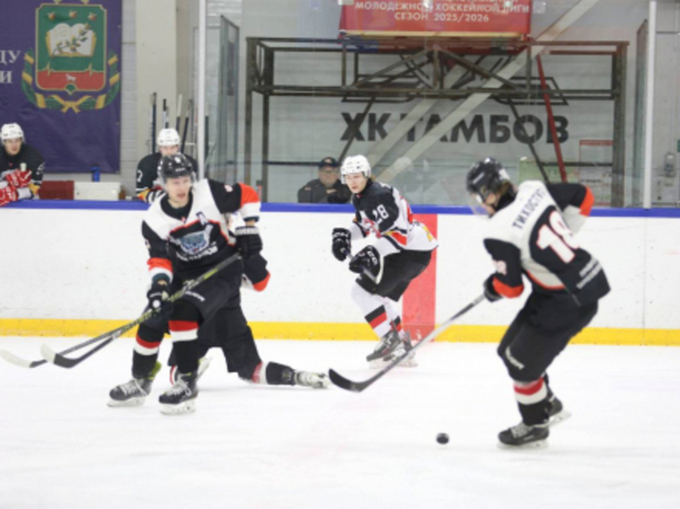 Драма на льду: «Молодые волки» дважды уступили «Соколу» в серии буллитов и напряжённой борьбе