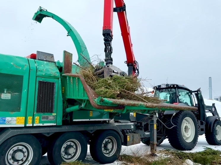 Подарите своей ёлке вторую жизнь – сдайте ее на переработку!