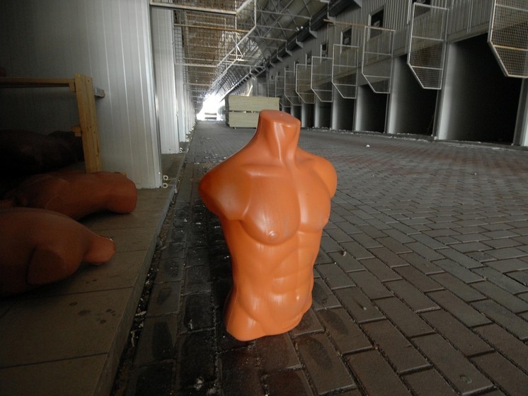 Ученые разработали необычный манекен пешехода с «живыми ногами»