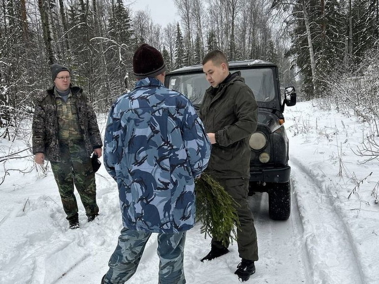 В марийских лесах перед Новым годом дежурят патрули