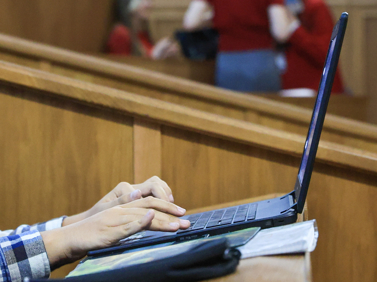 Горелкин: в России не планируют вводить штрафы за использование VPN