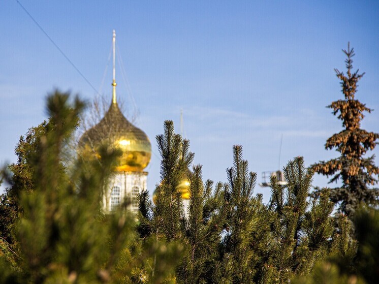 Священник Головин назвал четыре греха туляков, которые ведут душу в ад