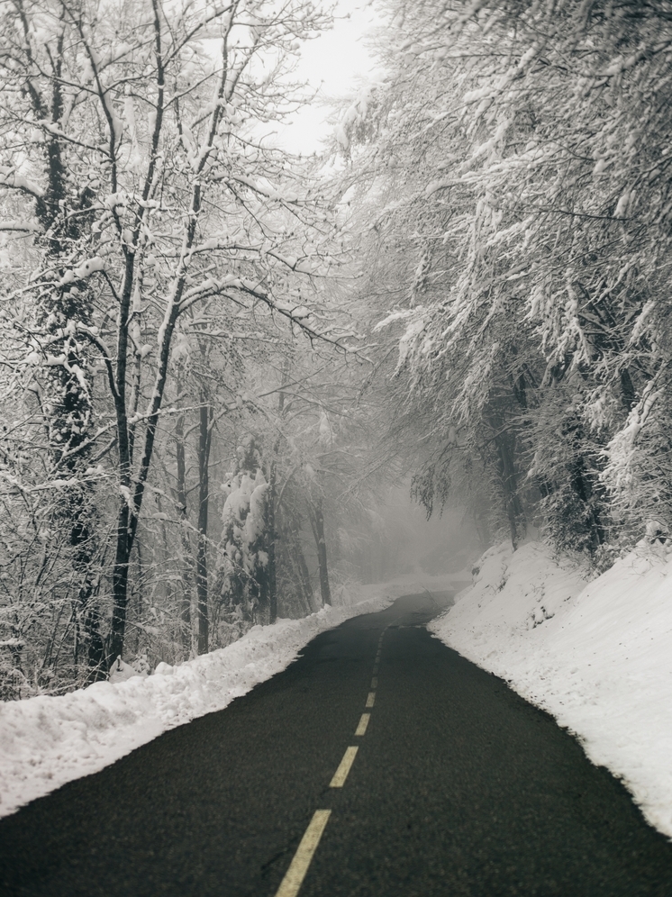 27 декабря в Брянской области ожидается снег
