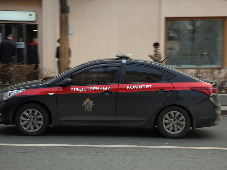 В Красноярске СК возбудил дело в связи с обнаружением тел матери и сына