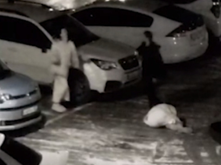 Полиция ищет мужчину, избившего двух женщин на парковке в Приморье