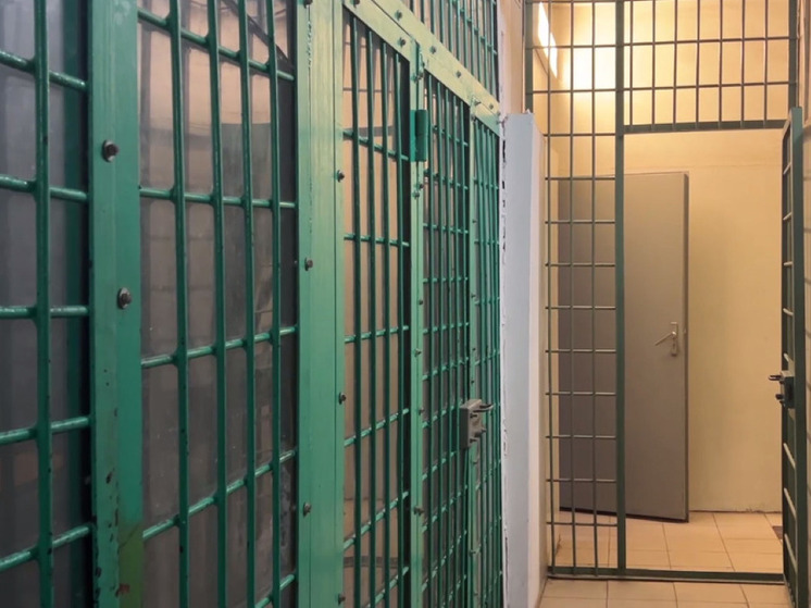 В Подмосковье приговорили мать и ее сожителя за изнасилование девочки и создание порнографии с ее участием.